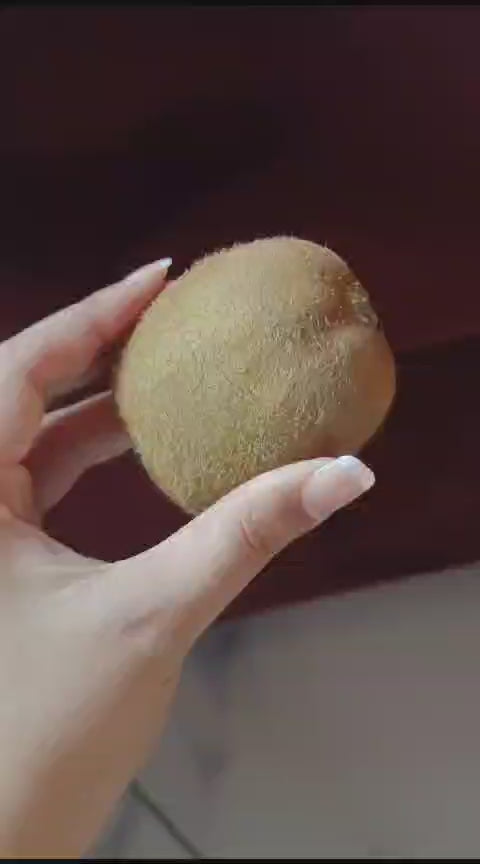 All Rounder Facial Razor – Blue